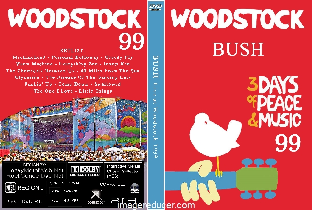 BUSH - Live at Woodstock 07-23-1999.jpg